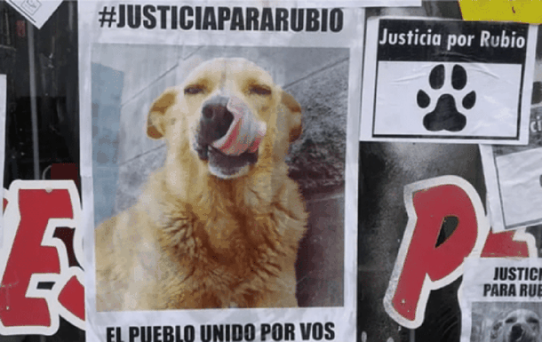 Condenaron al sujeto que arrastró y mató a Rubio en Mar del Tuyú: ¿irá a la cárcel?