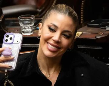 Criticaron a Virginia Gallardo por sus selfies en el Congreso.