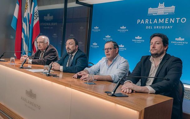 Los legisladores de Cabildo Abierto condicionaron su voto para aprobar la reforma de la Caja de Profesionales.