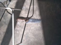 El cuchillo con el que atacaron a Julieta Antón y a Sofía Bovino