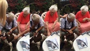 una nieta le regalo un perro a su abuelo y su reaccion fue pura ternura una nieta le regalo un perro a su abuelo y su reaccion fue pura ternura