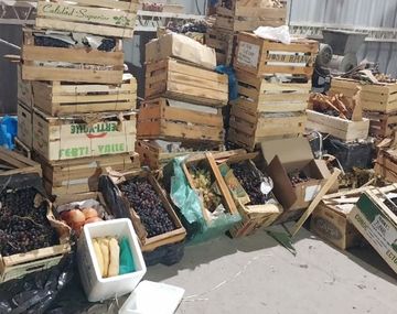 Operativo contra la mosca de las frutas