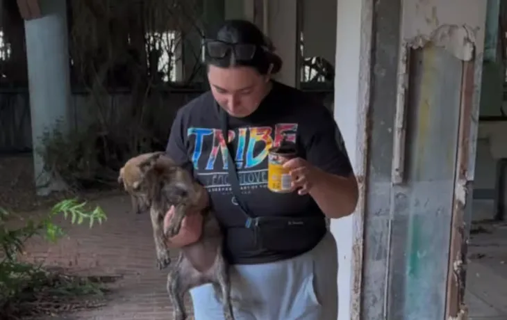 Fueron a rescatar a unos cachorros y se encontraron con una situación tan tierna como inesperada