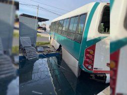 VIDEO: Un colectivo sin chofer terminó en la pileta de una casa en Tigre