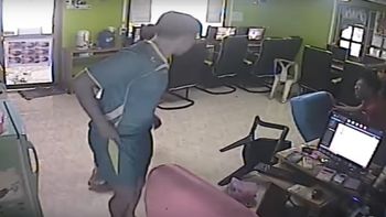 Pánico en un cibercafé por una serpiente Pánico en un cibercafé por una serpiente