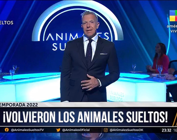 Cómo fue el rating de Alejandro Fantino en su regreso: Animales sueltos sigue el camino de Intratables
