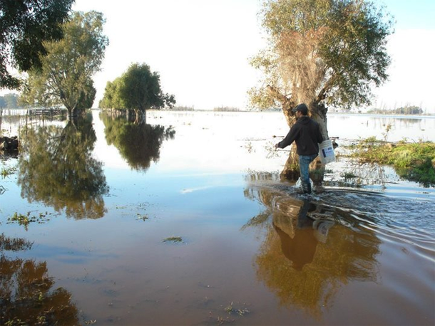 Hay cinco millones de hectáreas inundadas en el sur bonaerense