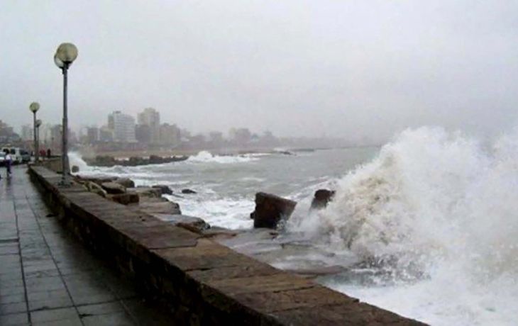 Caídas de árboles y voladura de postes por fuertes vientos en Mar del Plata