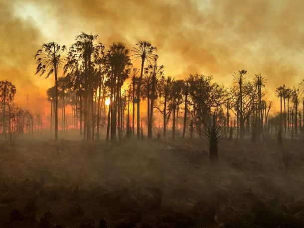 Acusan a cazadores furtivos de incendiar el Parque Nacional Pilcomayo