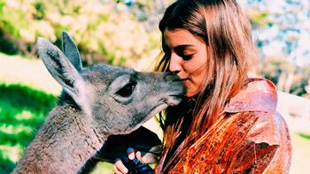 Calu Rivero besó un guanaco. Calu Rivero besó un guanaco.