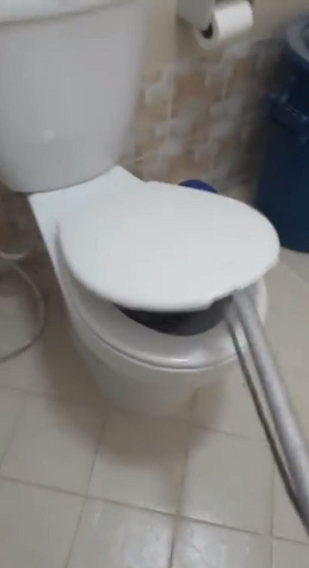 Una serpiente está por salir de ese inodoro