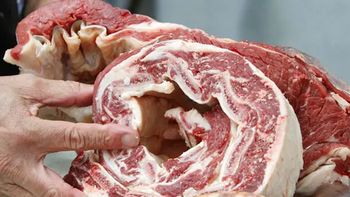 lujo para pocos: la carne subio mas de un 7% y se vuelve impagable para los argentinos lujo para pocos: la carne subio mas de un 7% y se vuelve impagable para los argentinos