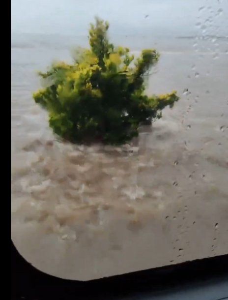 Ruta 9: un micro quedó atrapado en medio de la inundación