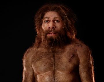 Los neandertales desaparecieron de Europa 20 mil años antes de lo que se creía