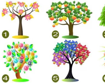 Las principales cualidades de tu personalidad según el árbol que elijas