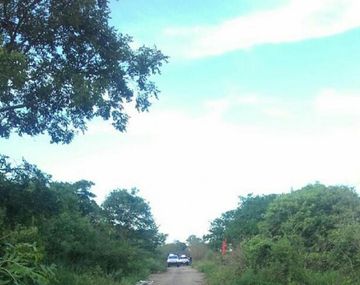 El lugar en que aparecieron muertos los pastores - Crédito: El Tribuno&nbsp;