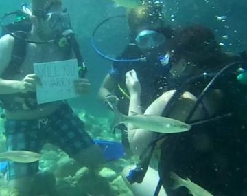 Una propuesta de matrimonio bajo el agua que estuvo a punto de terminar  mal