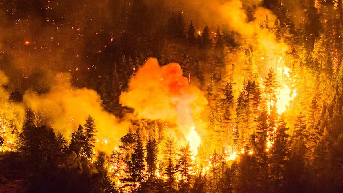 Incendios en Chubut: el fuego avanzó sobre la ruta 40 y la situación ...