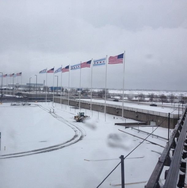 Nevada en el aeropuerto de Chicago - Crédito: Instagram @david_zed