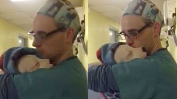 un veterinario derritio la web con sus mimos a una perrita recien operada