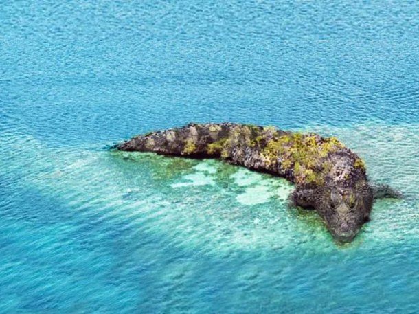 Desafío viral: lo primero que ves en esta imagen revela si sos bueno para los negocios o sos una buena persona