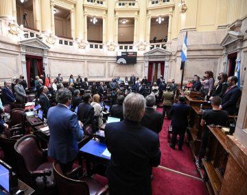 El Senado aprobó una declaración de enérgico rechazo para el intento de Chile