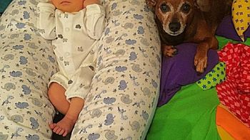 Félix Conti Félix Conti