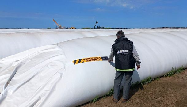 AFIP incautó casi 3 mil toneladas de granos en Buenos Aires