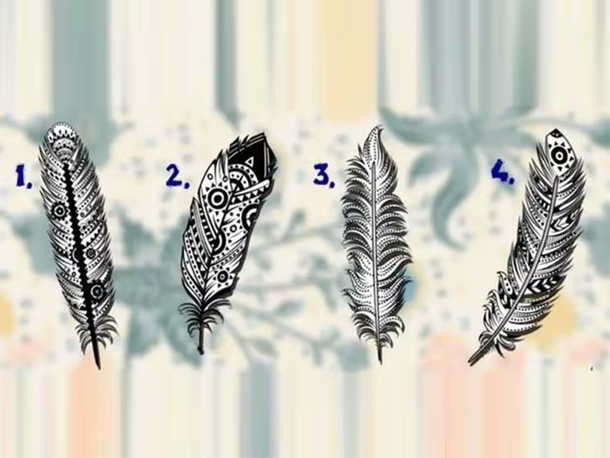 Test viral: descubrí tu misión en la vida según la pluma que elijas