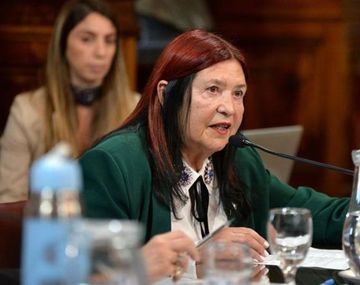 Ana María Figueroa pidió volver a asumir como jueza de la Cámara de Casación