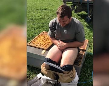 Se sentó sobre cientos de abejas desnudo y se viralizó
