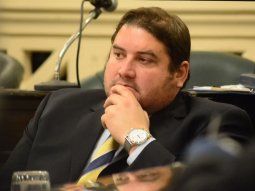 Pidieron el desafuero del senador Diego Pellegrini por el caso Loan