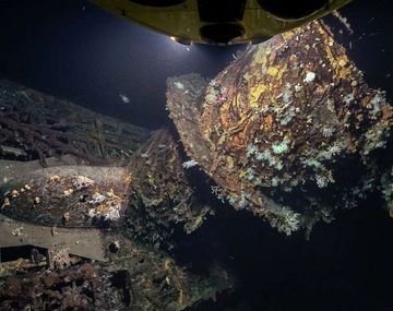 Un submarino nazi se convirtió en un coral artificial - Crédito:&nbsp;http://www.iflscience.com