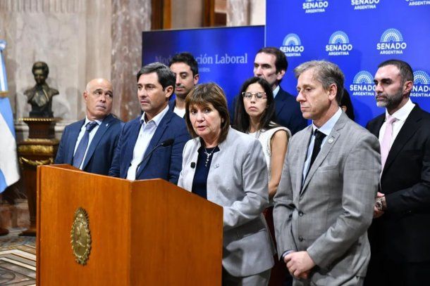 El Senado prorrogó el programa nacional de entrega voluntaria de armas hasta diciembre de 2027. Foto: NA.&nbsp;