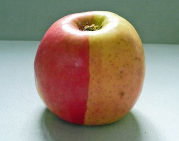 Mitad de manzana