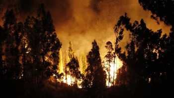 mujer murio por incendio en vina y valparaiso mujer murio por incendio en vina y valparaiso
