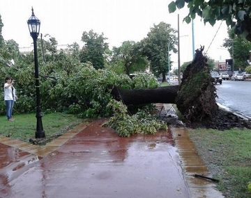 Chivilcoy: Scioli ordenó un operativo de emergencia para asistir