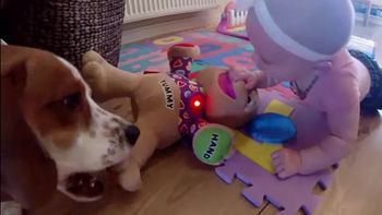 la convivencia de una beba y un perro la convivencia de una beba y un perro