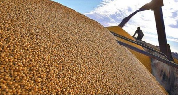 Oficial: eliminan cláusula Monsanto para fiscalizar semillas