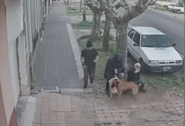 Terror en Quilmes por un perro suelto que ataca mascotas