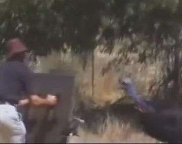 Un hombre murió asesinado por su mascota