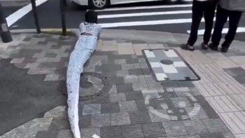 el video de un therian serpiente arrastrandose por las calles de japon que se hizo viral el video de un therian serpiente arrastrandose por las calles de japon que se hizo viral