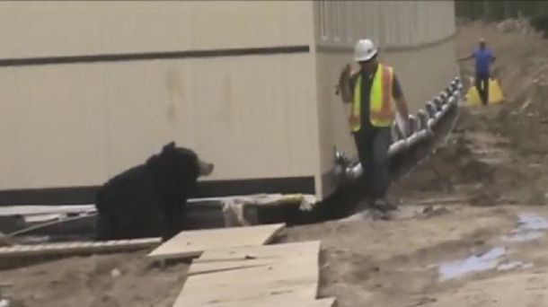 VIDEO: Broma pesada entre trabajadores de la construcción