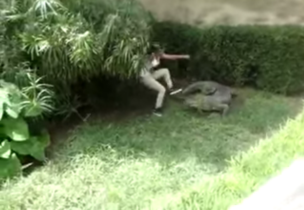 Una adolescente se mete en el reptilario y se salva de la mordida de un cocodrilo