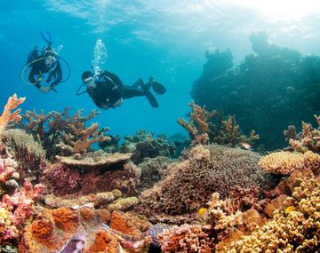 La Gran Barrera es una formación de corales única en el mundo