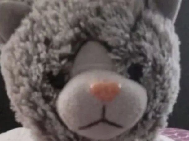 Una familia pagó $200 mil tras ser extorsionada para recuperar el peluche de su hijo con autismo