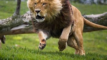 Imagen ilustrativa Imagen ilustrativa