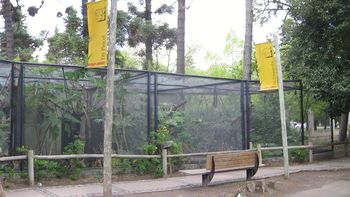 acusan a ecologistas de liberar animales acusan a ecologistas de liberar animales