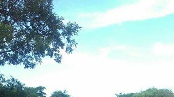 El lugar en que aparecieron muertos los pastores - Crédito: El Tribuno El lugar en que aparecieron muertos los pastores - Crédito: El Tribuno