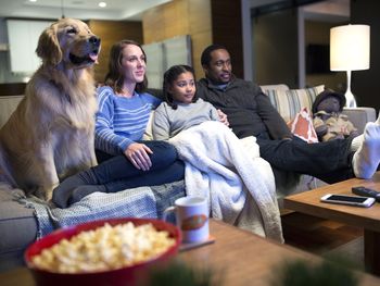 Las mascotas son los compañeros ideales para maratonear en Netflix